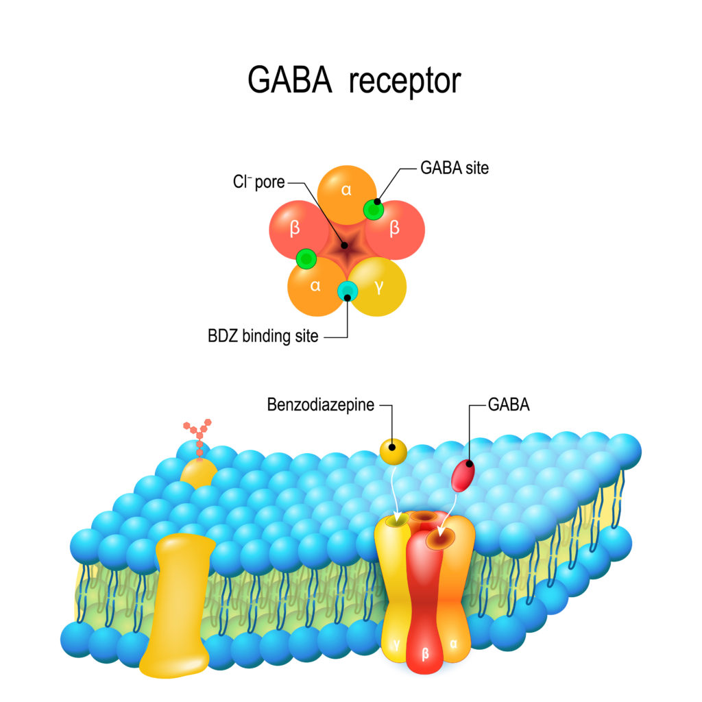 Schematic Diagram Of Benzodiazepine Gaba Chloride Ion Channel Complex ...